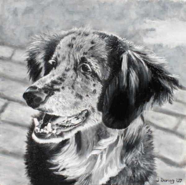 Pet portrait - James Derieg - Artist