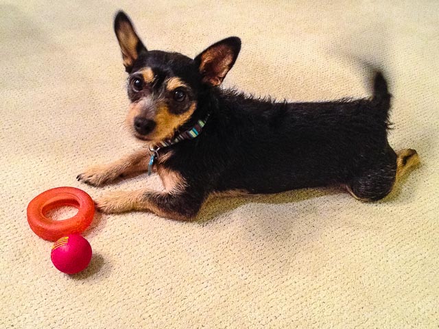 1 Sketch Obtain Reference (1)